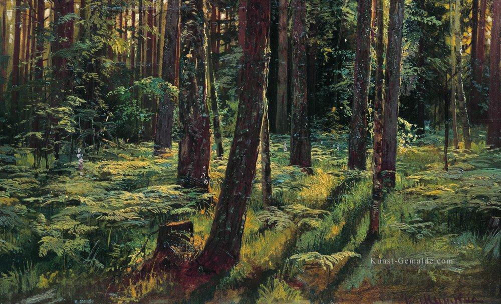 Farne im Wald siverskaya 1883 klassische Landschaft Ivan Ivanovich Bäume Ölgemälde